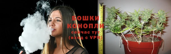 ГАЛЛЮЦИНОГЕННЫЕ ГРИБЫ Зерноград