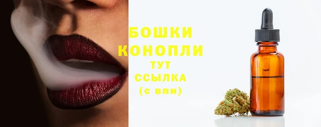 ГАЛЛЮЦИНОГЕННЫЕ ГРИБЫ Зерноград