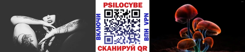 Псилоцибиновые грибы GOLDEN TEACHER  Купить где  Медногорск 