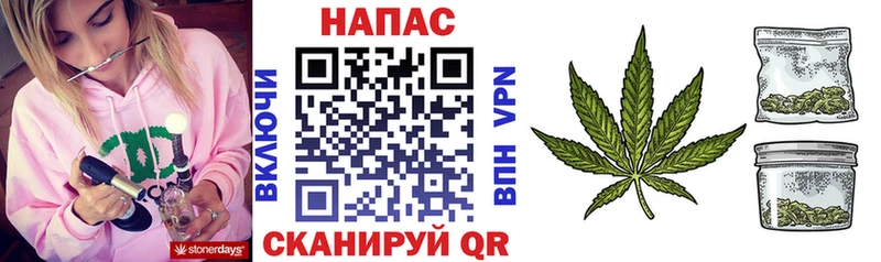Купить где  Медногорск  Бошки марихуана SATIVA & INDICA 